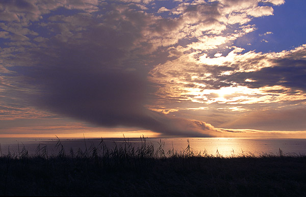 Seenebel auf dem Greifswalder Bodden, Rgen, Deutschland, Europa