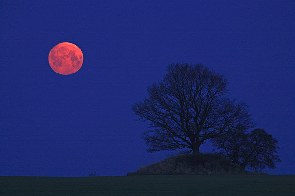 Vollmond am alten H�gelgrab - Zudar, R�gen, Mecklenburg-Vorpommern, Deutschland, Europa