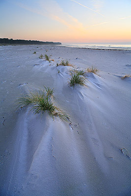 Sanddnen - Dueodde, Bornholm, Dnemark, Europa